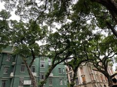 -星巴克臻选(广州沙面店)