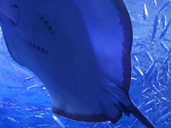 -多彩贵州城极地海洋世界