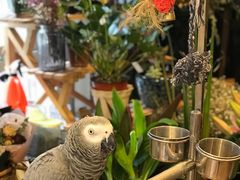 -森野花艺培训·企业团建活动沙龙