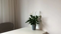 -清疣美疣·痣·斑净肤中心