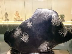 -安徽省地质博物馆