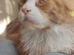 -平行世界·猫咖(首经贸店)