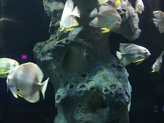 -福州罗源湾海洋世界旅游区