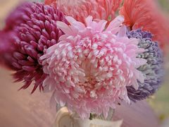 -BEAST野兽派(上海浦东嘉里城店)