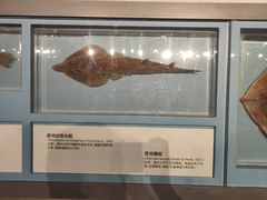 -舟山博物馆