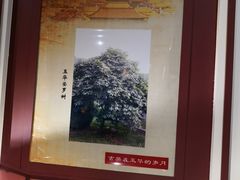 -玉华宫景区