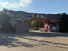 -上海海湾国家森林公园