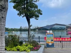 -上海长兴岛郊野公园