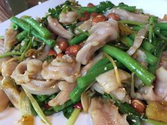 -绿雅居原生态农庄(小涌店)