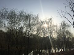 -滨湖塘西河公园