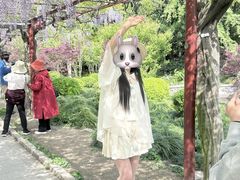 -嘉定紫藤园
