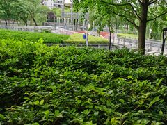 -苏州河梦清园环保主题公园