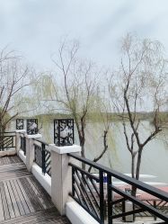 -卓玥国际月子会所(罗山路店)