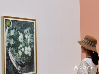 我在麓湖观看夏加尔画展
