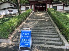 -上海佘山国家森林公园天马山园