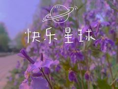 -将府公园