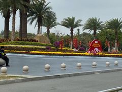 -宝安西湾红树林湿地公园