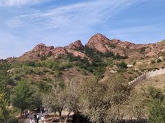 -红山国家森林公园