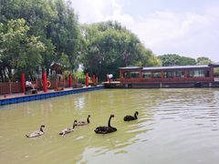 -长兴太湖图影湿地文化园
