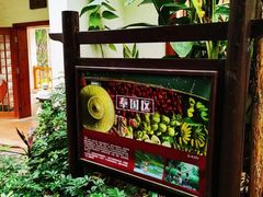 -嘉和K6温泉微度假