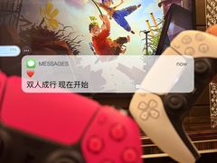 -Sony Store索尼(深圳深业上城店)