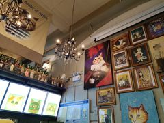 -猫咪博物馆(顶澳仔猫街店)