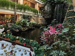 -广州白天鹅宾馆