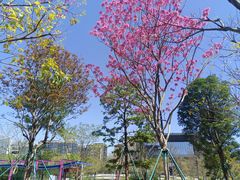 -广州市城市规划展览中心
