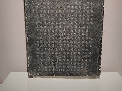 -中国湿地博物馆