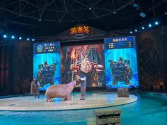 -哈尔滨波塞冬海底世界