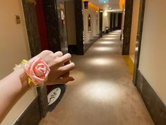 -芜湖白金汉爵大酒店