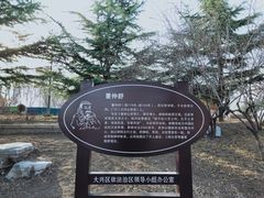 -大兴滨河森林公园