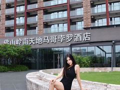 -佛山岭南天地康得思酒店