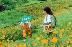 点击看大图 -金夫人婚纱摄影(长寿店)