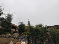 -崇阳三特浪口温泉