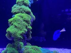 -海合安武汉极地海洋公园