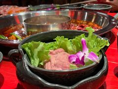 -谭鸭血老火锅(漳州路店)