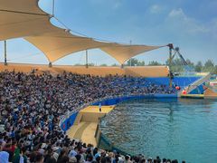 -秦皇岛乐岛海洋王国