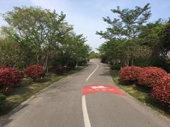 -尚贤河湿地