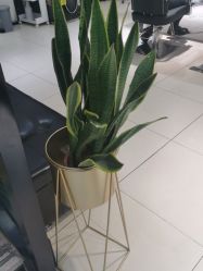 -LJOY丽锦造型·烫发染发