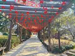 -白马涧龙池景区