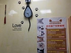 -康乐宝动物医院