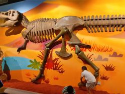 -北京科学中心儿童乐园