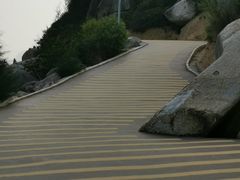 -广东惠东海龟国家级自然保护区