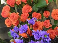 -ChaKo Flora ·茶子花艺 (市北店)