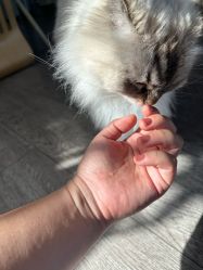 -HUII NAIL绘京美甲美睫会馆