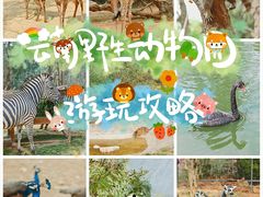 -云南野生动物园