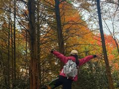 -山王坪喀斯特国家生态公园