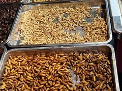 -昆虫窝子·特色云南菜(拓东路总店)