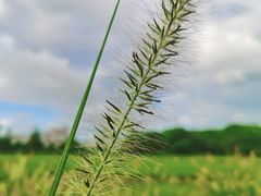 -嘉北郊野公园